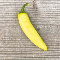 Poivron précoce banana